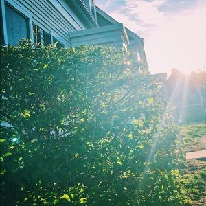 Meet your Posher, Dorothy